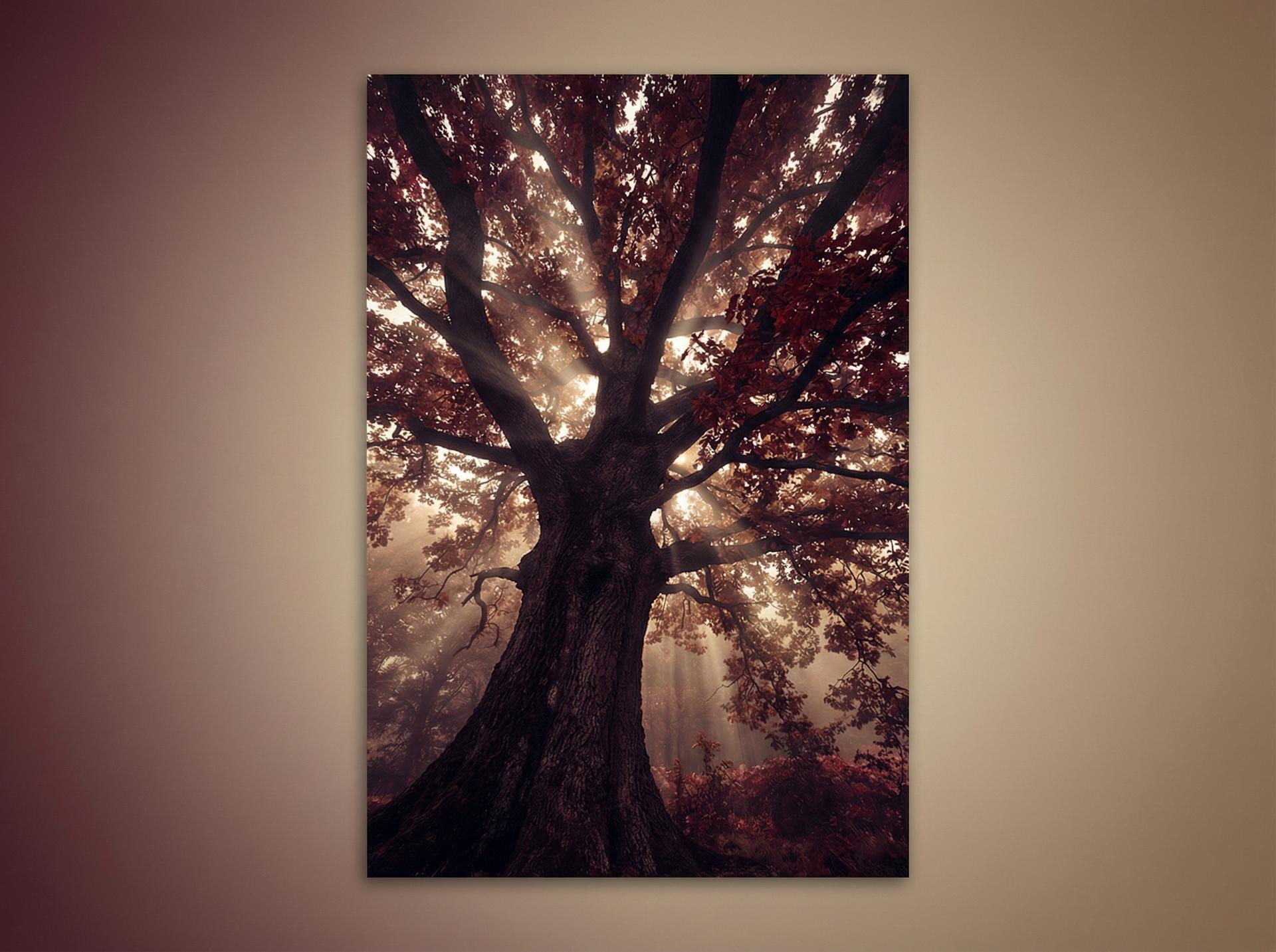 抖荫短视频 AI植物视频推荐